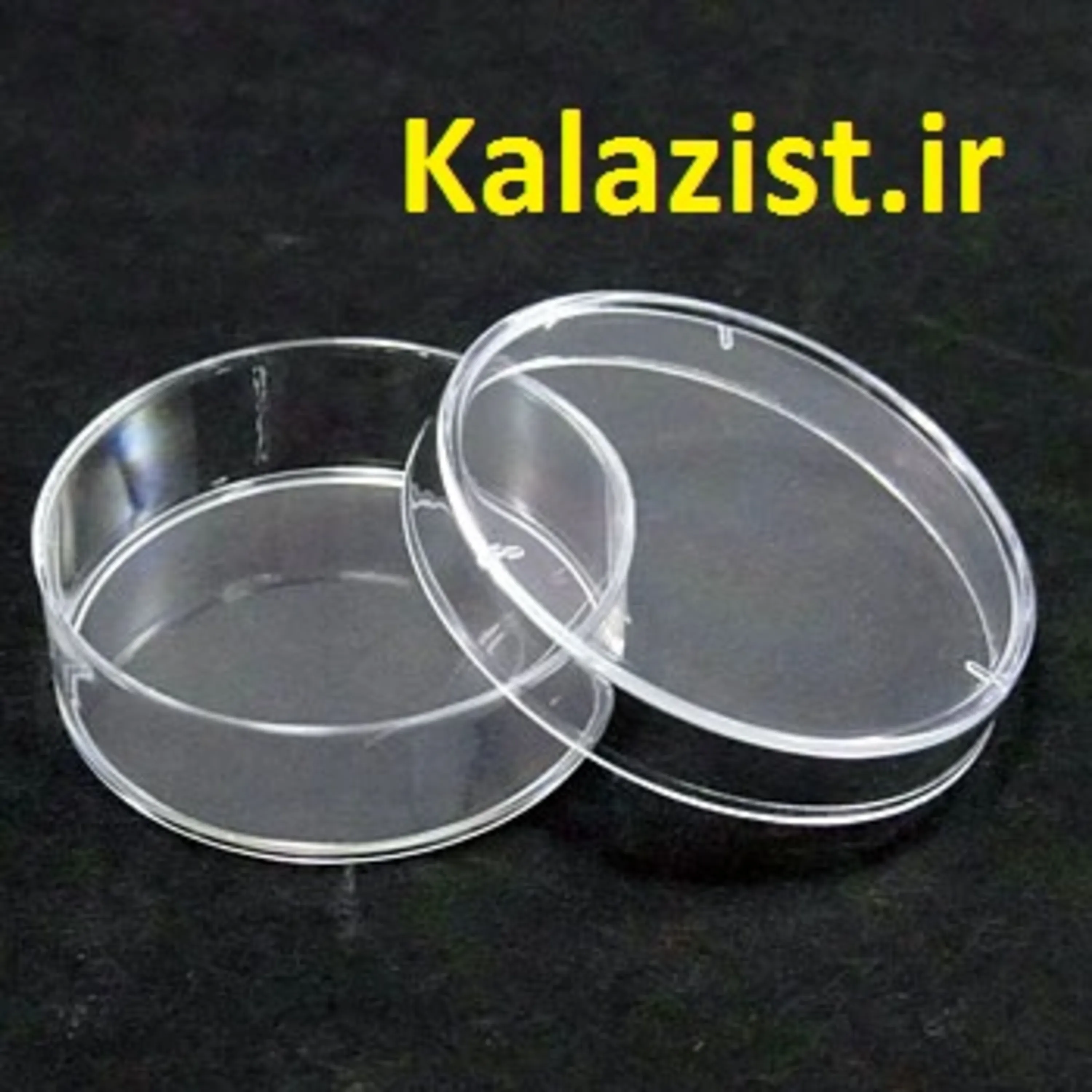 پتری دیش کشت سلولی 3 سانت  cell culture dish kalazist کالا زیست